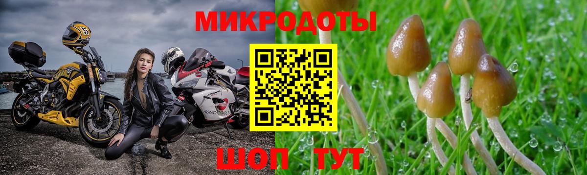 Галлюциногенные грибы Magic Shrooms  Вход с VPN  где купить наркотик  Томск 